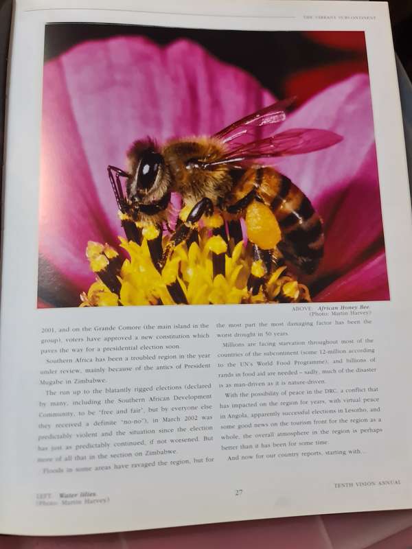 A  Vision - Tenth Annual