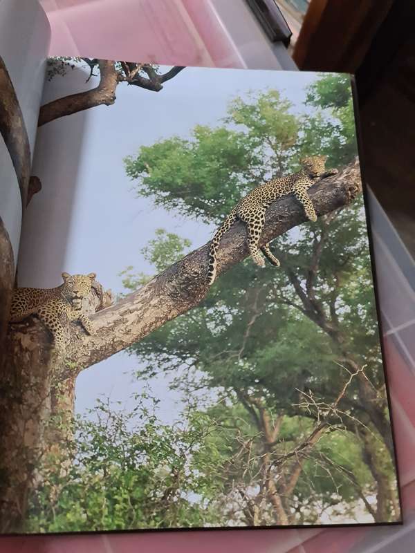 Book:Living with Leopards, Nils Kuru