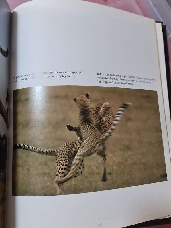 Book: Cheetah, Kathrine & Carl Ammann