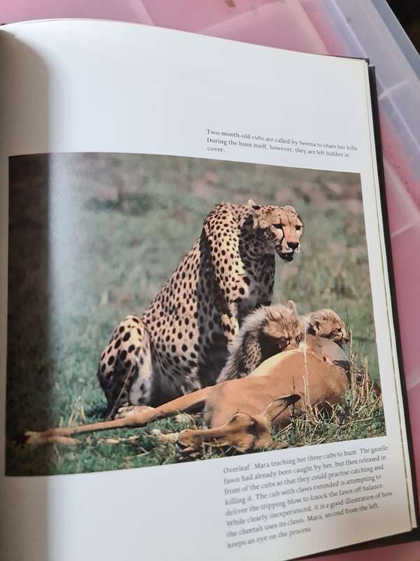 Book: Cheetah, Kathrine & Carl Ammann