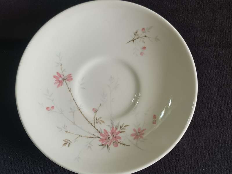 Johnson Bross Made in England Ironstone 17 Piece Teaset