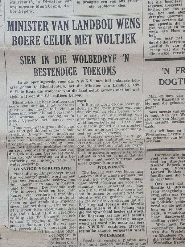 Merino, Bloemfontein August 1949 News Paper