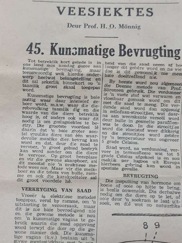 Merino, Bloemfontein August 1949 News Paper