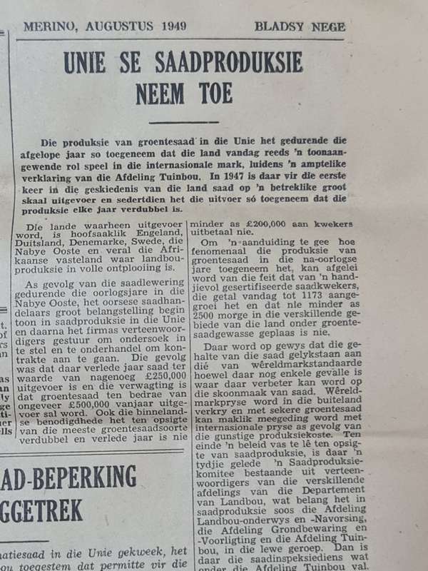Merino, Bloemfontein August 1949 News Paper