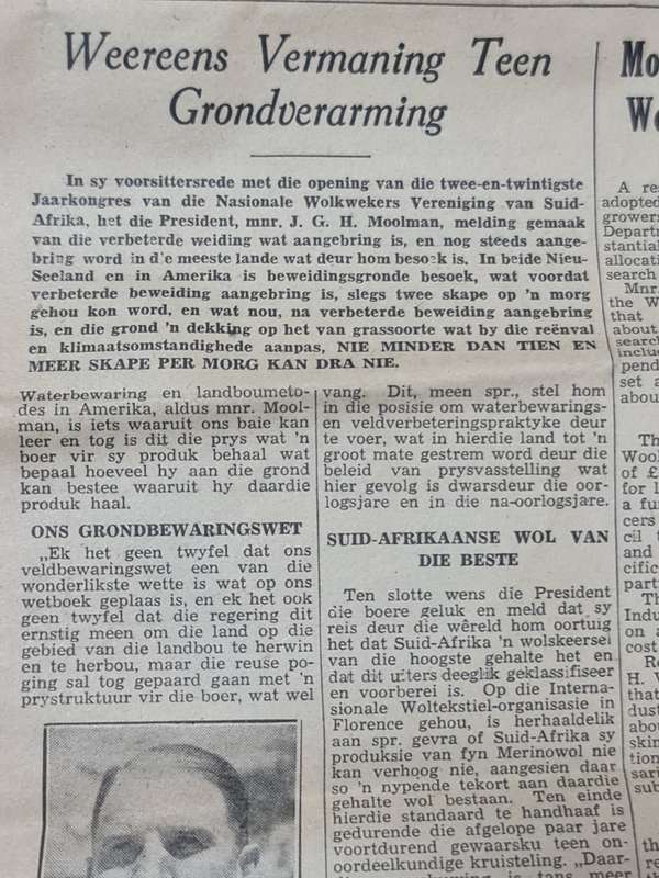Merino, Bloemfontein August 1949 News Paper
