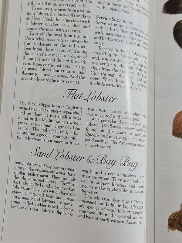 A Gourmets Book of Shellfish by Mary Gadogan recipe book.