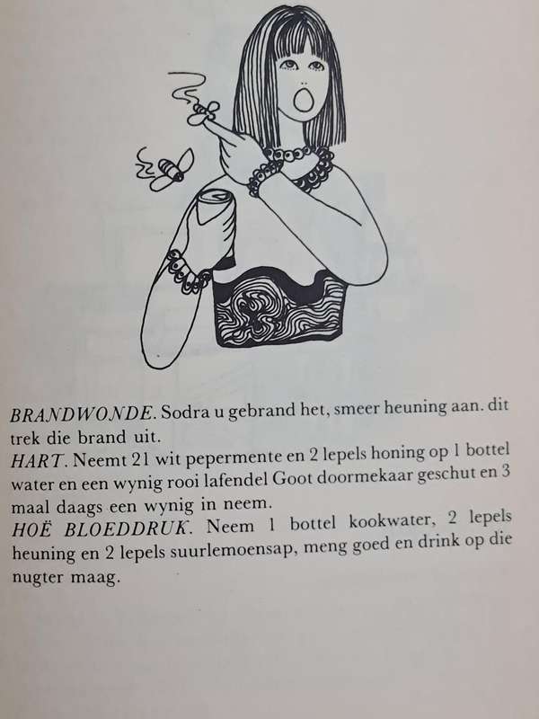 Wat is soeter as heuning: deur Lidia van Niekerk wenke en resepte boek