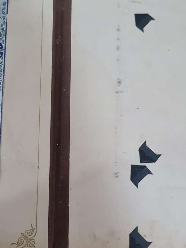 Victorian Photo Album