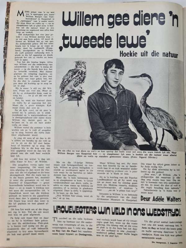 Huisgenoot 3 Augustus 1973