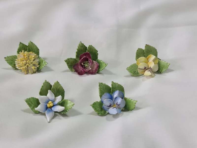X5 Royal Adderley name place holders