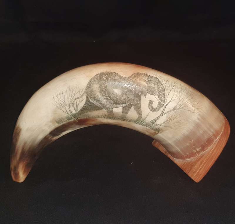 Engraved Cow Horn