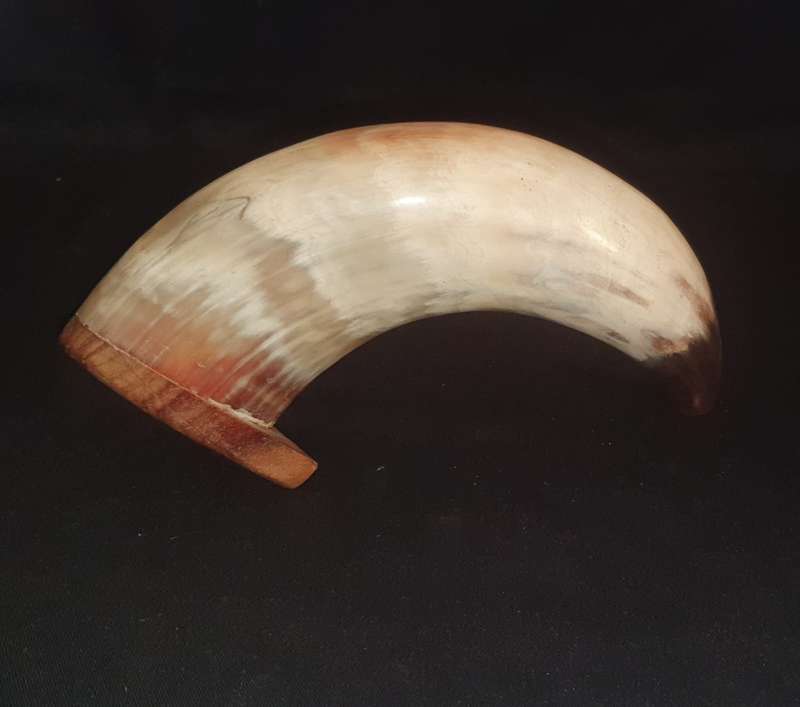 Engraved Cow Horn