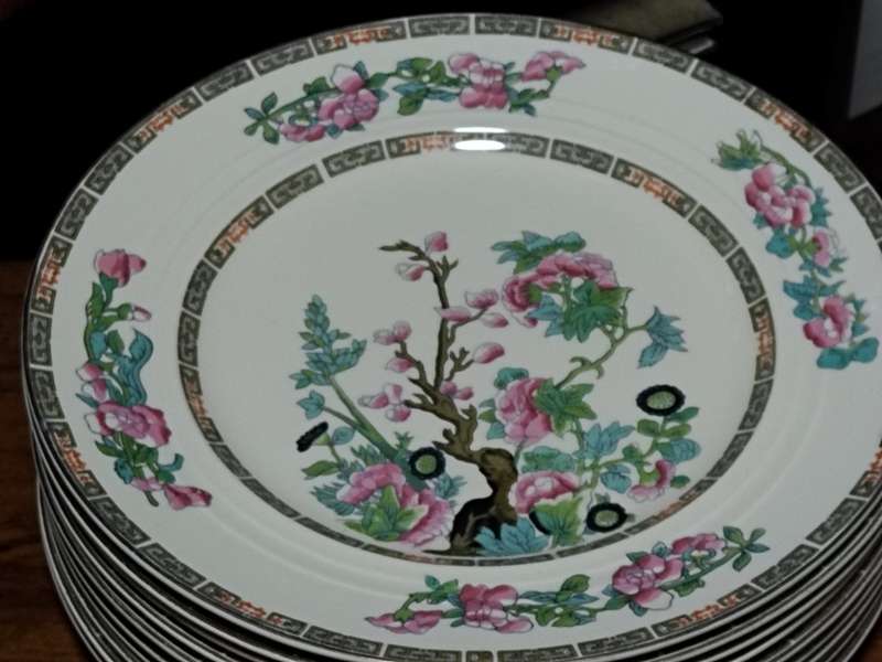 New Hall Hanley, Staffordshire England Dinner Plates