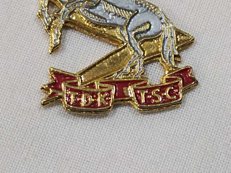 Mixed Army badges
