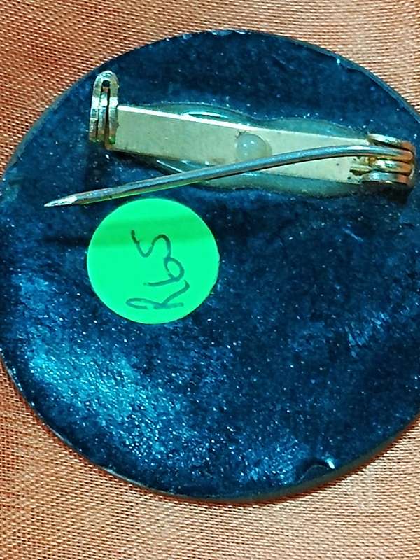 Enamel brooch