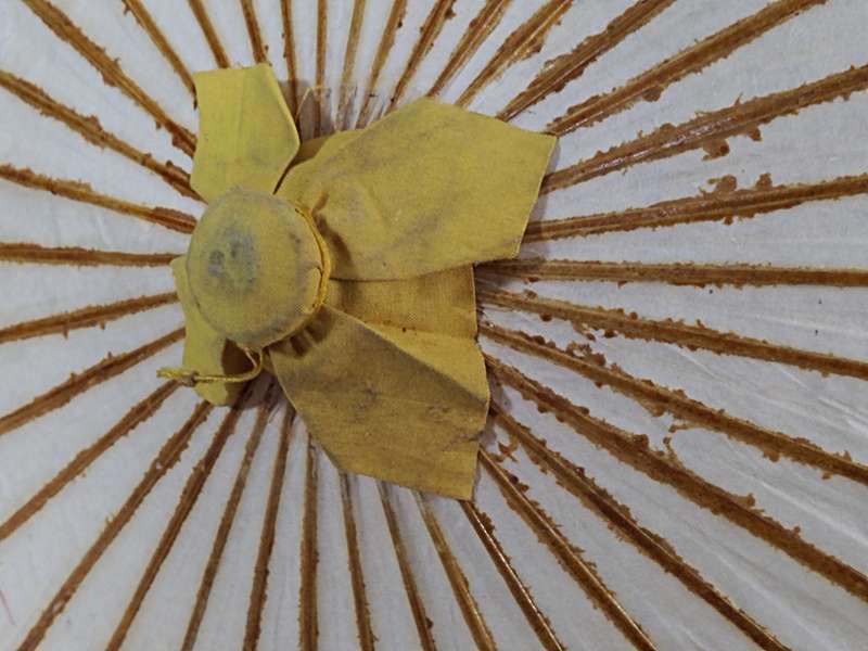 Oriental vintage umbrella