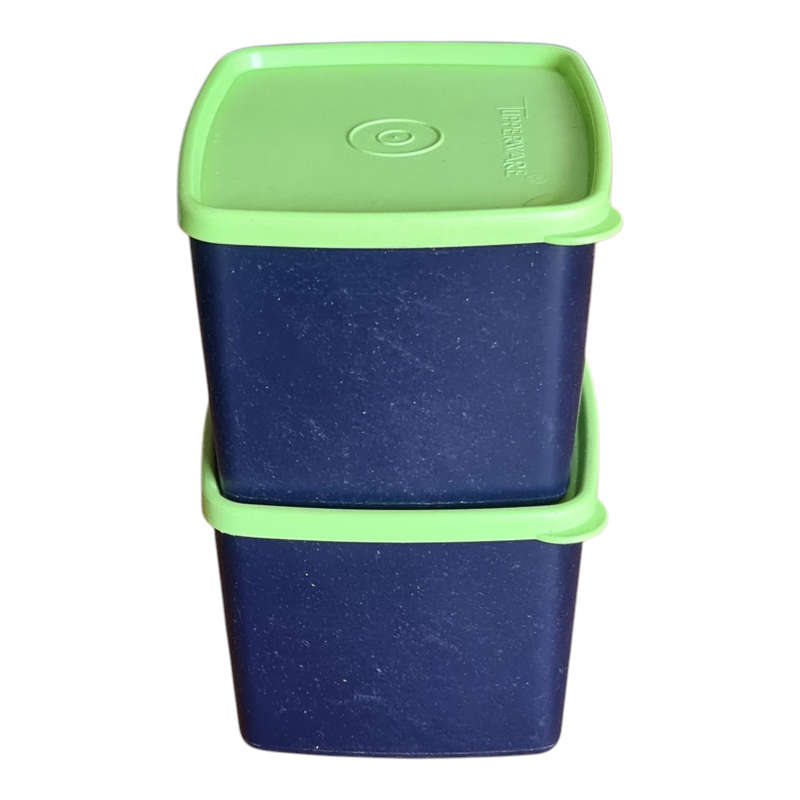 Tupperware: x2 Containers (312-41)