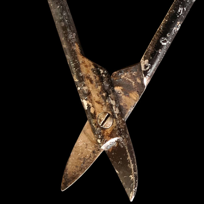 Vintage x2 Bow Curved scissor