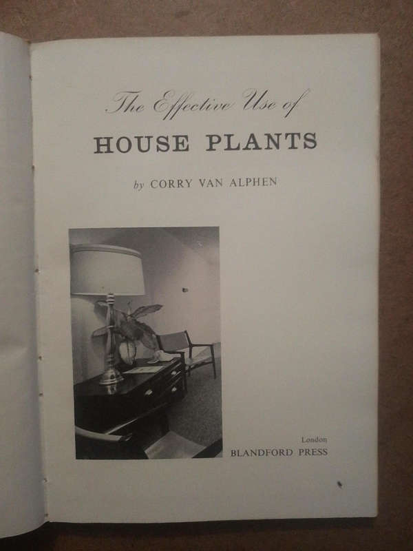 The Effective use of House Plants