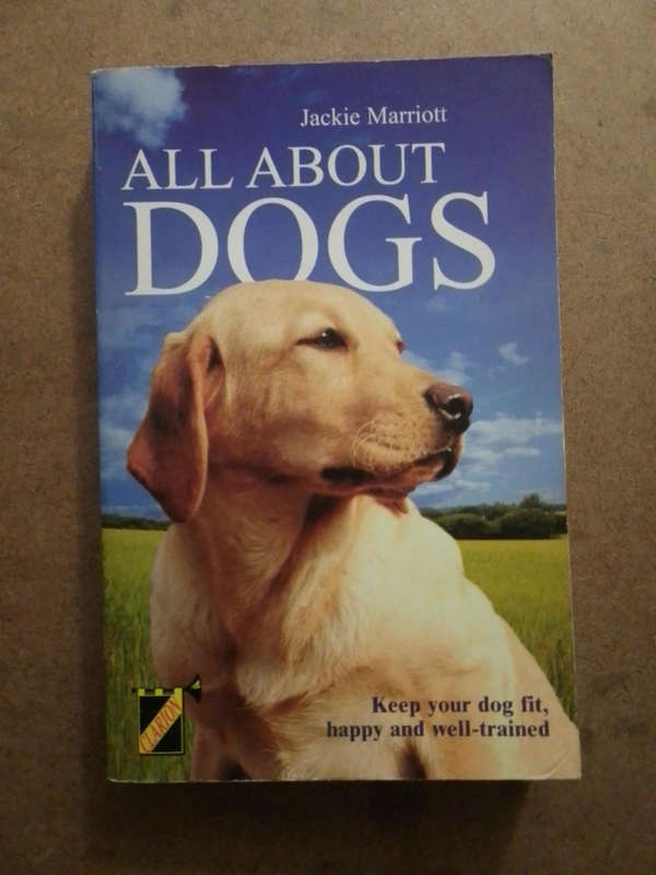 Jackie Marriott - All about Dogs