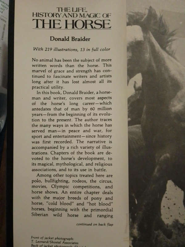 The Life, History and Magic of the Horse