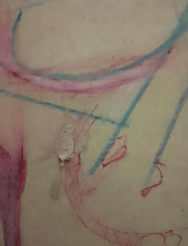 Gerry Kruger aka Gericaso Pastels drawing
