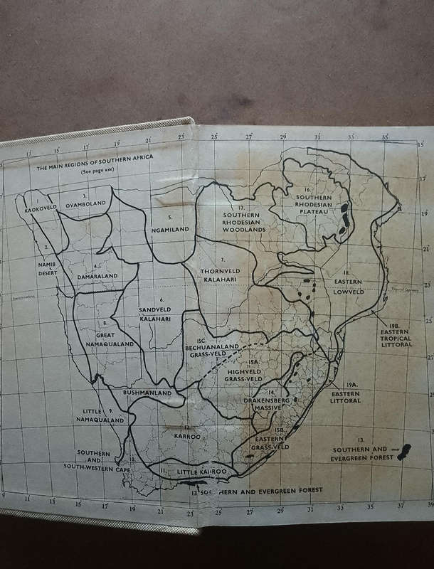 Roberts Birds of South Africa 1958 edition