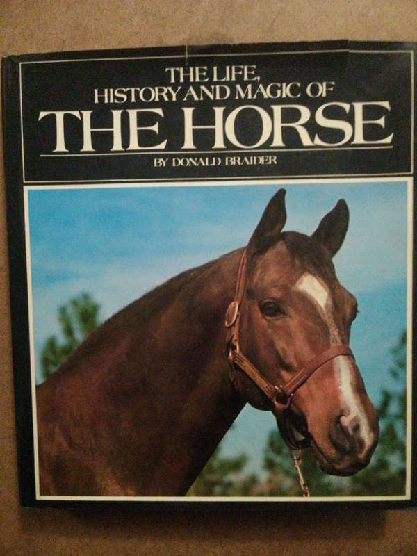 The Life, History and Magic of the Horse