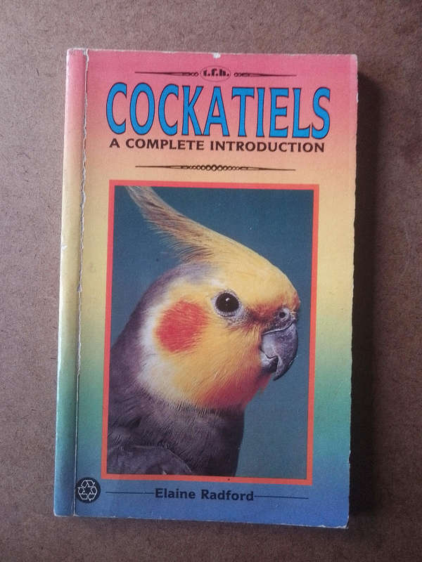 Cockatiels - a complete introduction