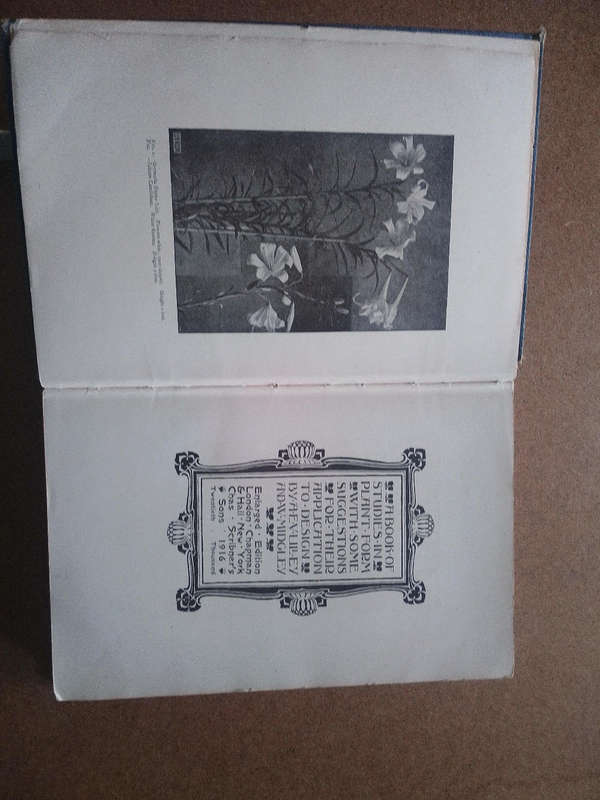 Plant Form & Design by Albert E.V Lilley and W.Midgley
