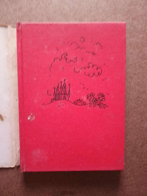 The fifty-first dragon - Haywood Broun