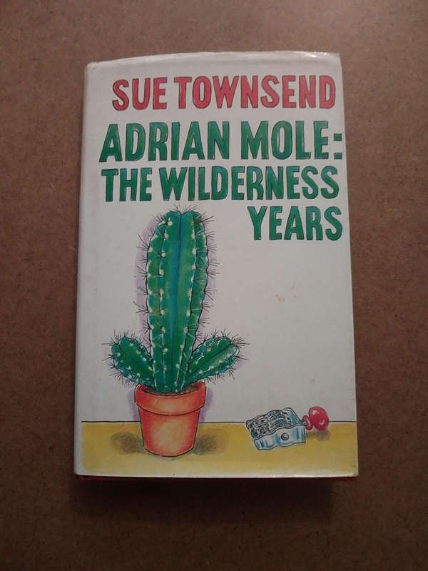 Sue Townsend - Adrian Mole : The Wilderness Years