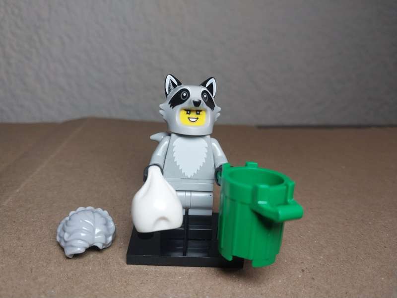 LEGO Raccoon Costume Fan, Series 22 (Complete Set with Stand and Accessories)