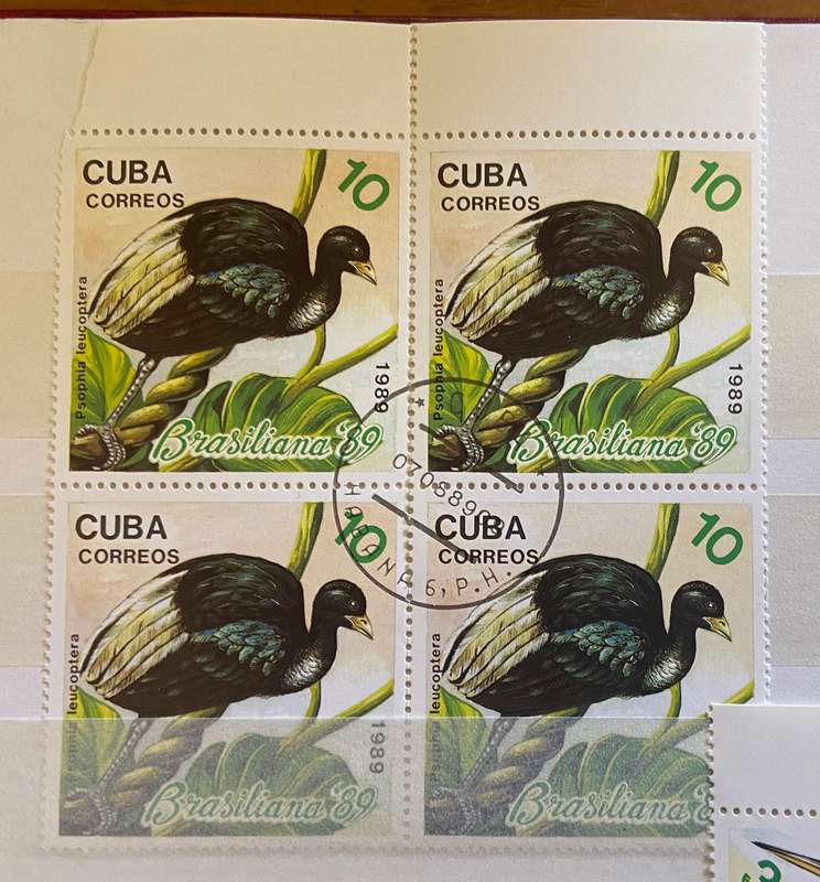 CUBA BIRDS - 1989 - 3 x Blks of 4 - BRASILIANA STAMP EXHIBITION - HERON - IBIS - TRUMPETER - USED.