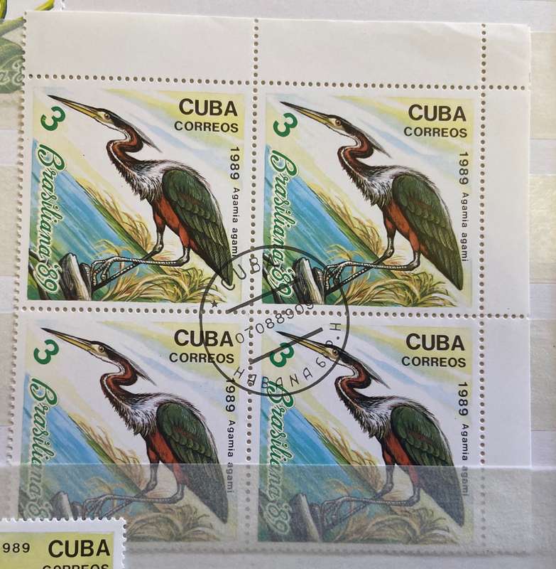 CUBA BIRDS - 1989 - 3 x Blks of 4 - BRASILIANA STAMP EXHIBITION - HERON - IBIS - TRUMPETER - USED.