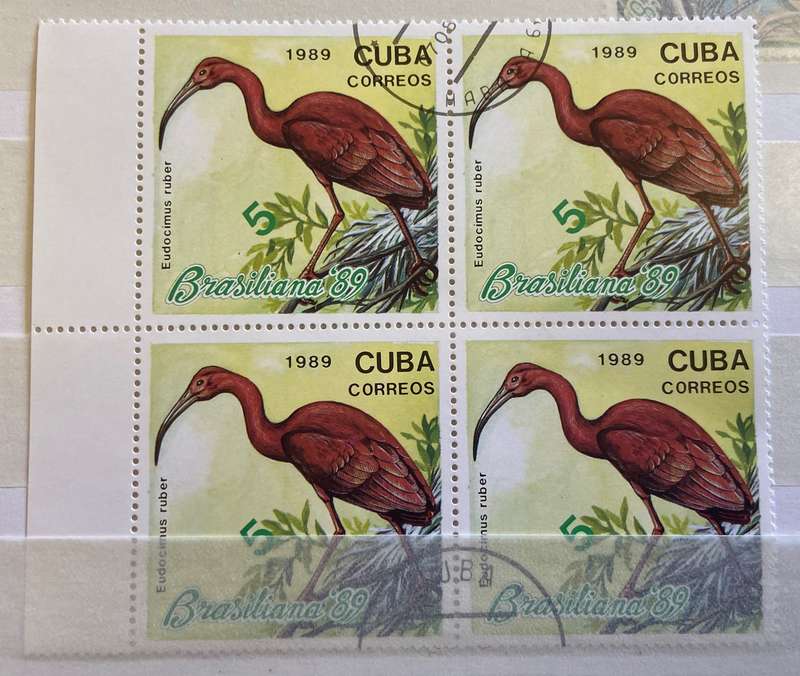 CUBA BIRDS - 1989 - 3 x Blks of 4 - BRASILIANA STAMP EXHIBITION - HERON - IBIS - TRUMPETER - USED.