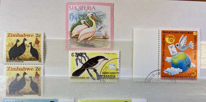BIRDS - SELECTION of Blocks, pairs, singles mint & CTO - PELICAN GUINEA FOWL OWLS BIRDS OF PREY