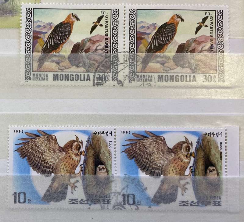 BIRDS - SELECTION of Blocks, pairs, singles mint & CTO - PELICAN GUINEA FOWL OWLS BIRDS OF PREY