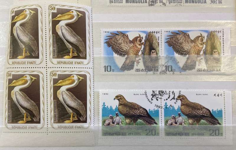 BIRDS - SELECTION of Blocks, pairs, singles mint & CTO - PELICAN GUINEA FOWL OWLS BIRDS OF PREY