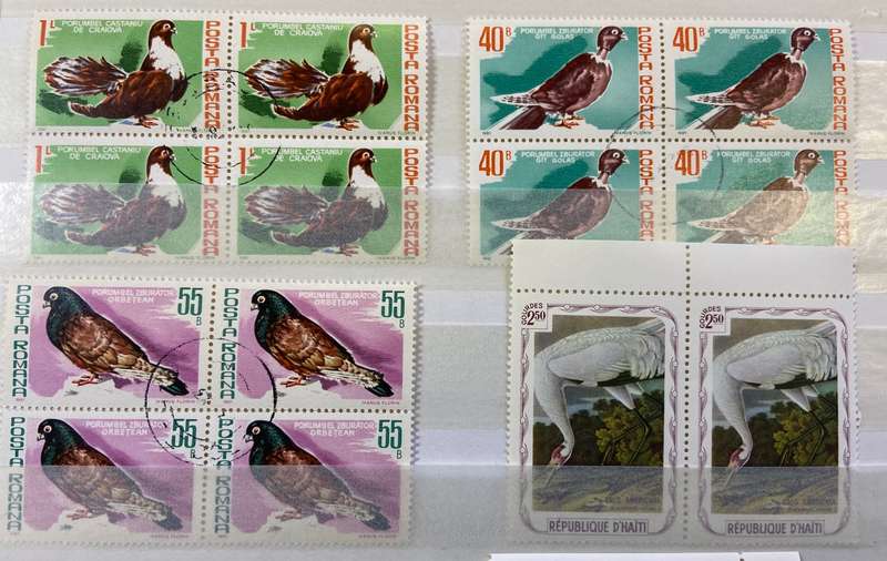 BIRDS - SELECTION of Blocks, pairs, singles mint & CTO - PIGEONS WOODPECKER DUCKS WHOOPING CRANE