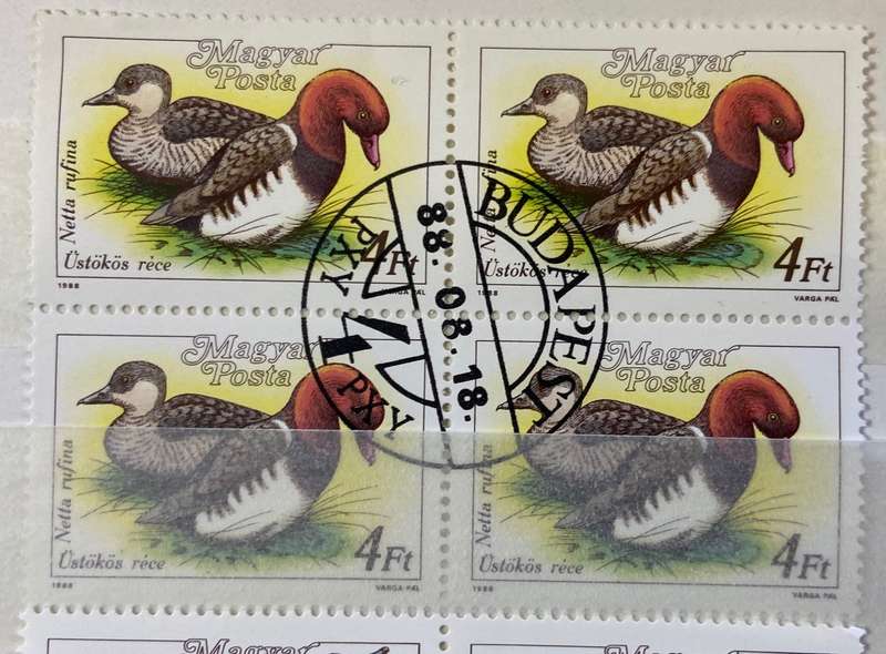 BIRDS - SELECTION of Blocks, pairs, singles CTO - HUNGARY - DUCKS STORKS CRANES