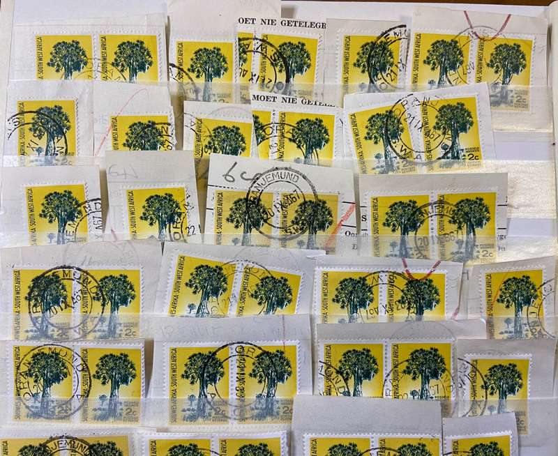 SOUTH WEST AFRICA POSTMARKS on piece x 33  (SWA) mostly ORANJEMUND - 2c SACC 202 QUIVER TREE - 1961