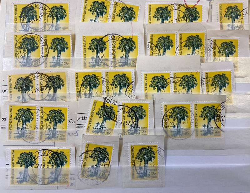 SOUTH WEST AFRICA POSTMARKS on piece x 33  (SWA) mostly ORANJEMUND - 2c SACC 202 QUIVER TREE - 1961