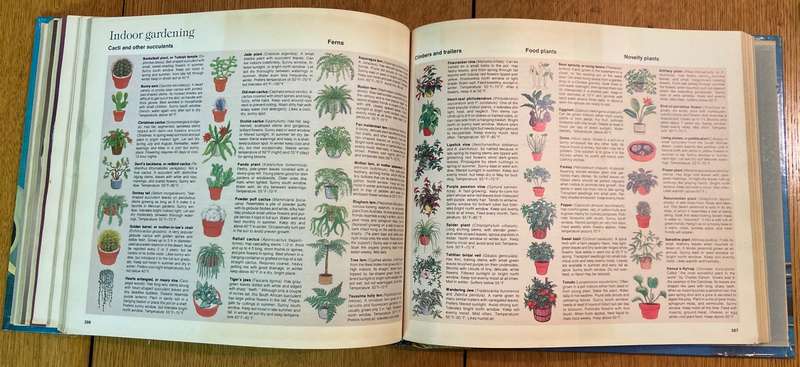 READER'S DIGEST CRAFTS AND HOBBIES - A STEP-BY-STEP GUIDE TO CREATIVE SKILLS - 1979.