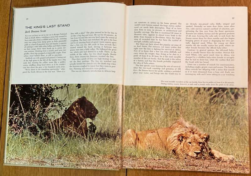 MARVELS AND MYSTERIES OF OUR ANIMAL WORLD - READER'S DIGEST - 1964 - CORONET BOOKS