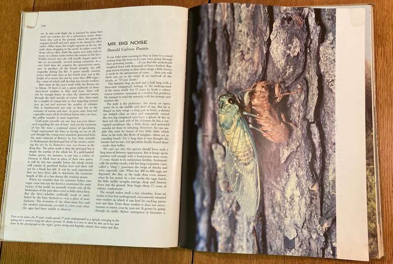 MARVELS AND MYSTERIES OF OUR ANIMAL WORLD - READER'S DIGEST - 1964 - CORONET BOOKS