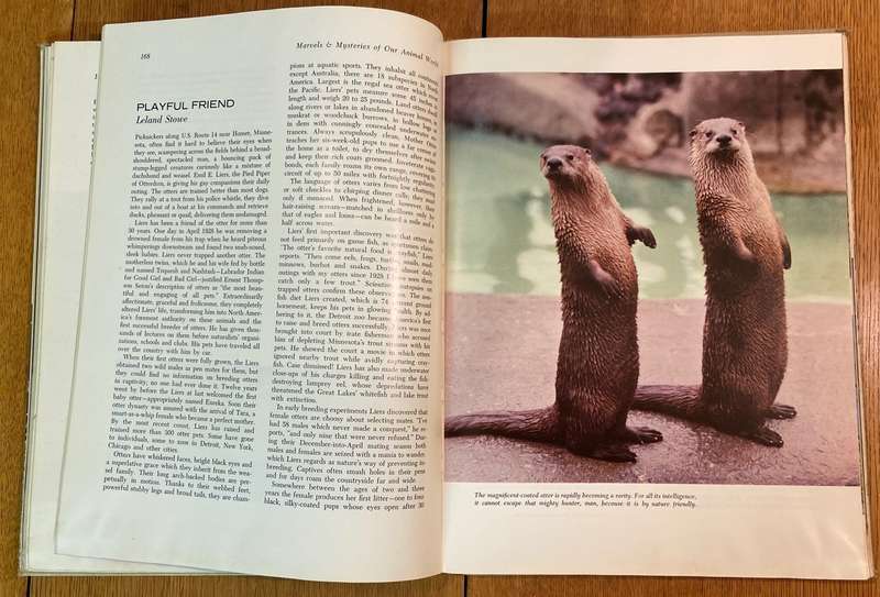 MARVELS AND MYSTERIES OF OUR ANIMAL WORLD - READER'S DIGEST - 1964 - CORONET BOOKS