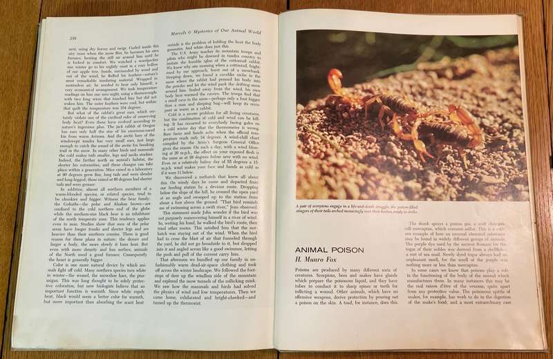 MARVELS AND MYSTERIES OF OUR ANIMAL WORLD - READER'S DIGEST - 1964 - CORONET BOOKS