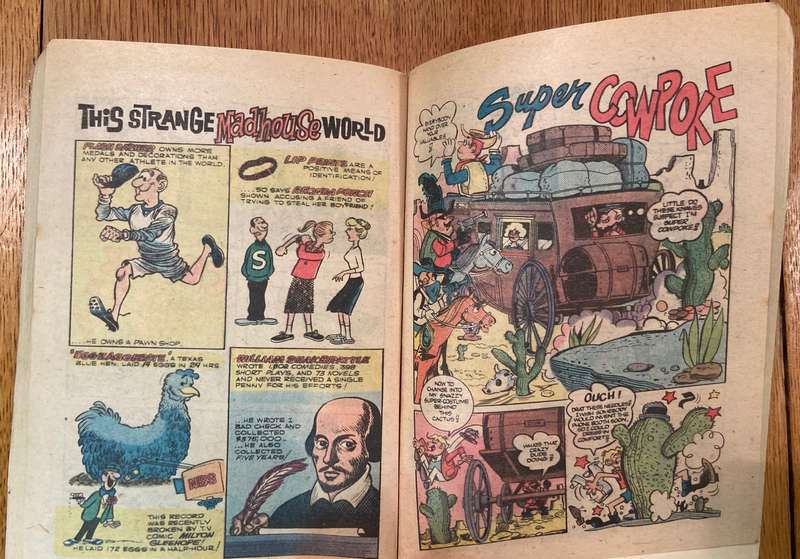 MAD HOUSE COMICS DIGEST MAGAZINE - No. 6 - FULL COLOUR.