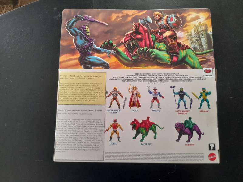 Customized Masters of the Universe Classics Gold He-man & Silver She-Ra Neatly Displayed in a Box